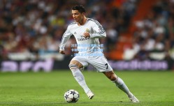 沃尔特马德迅速融入纽卡斯尔联队，自信宣言，球队正迈向卓越成就