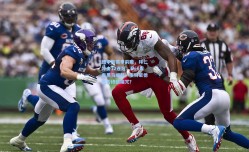 德甲新赛季前瞻，拜仁冲击12连冠，勒沃库森黑马崛起，多特蒙德能否终结魔咒？