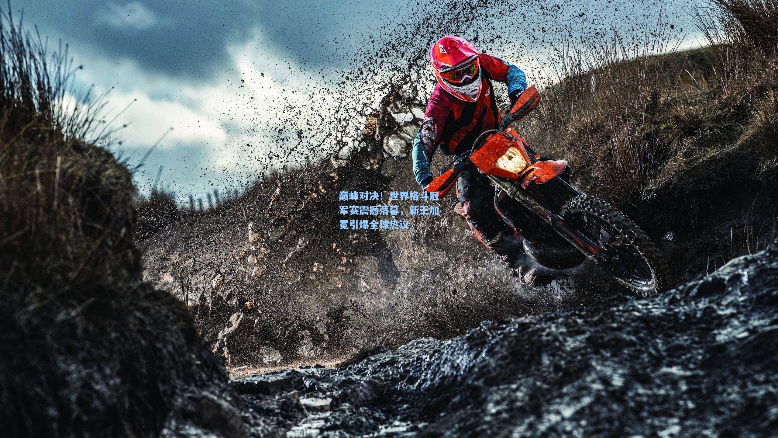 巅峰对决！世界格斗冠军赛震撼落幕，新王加冕引爆全球热议  第2张